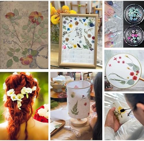 80PCS Multicolor Pressed Dried Flowers Dry Leaves - Image 5