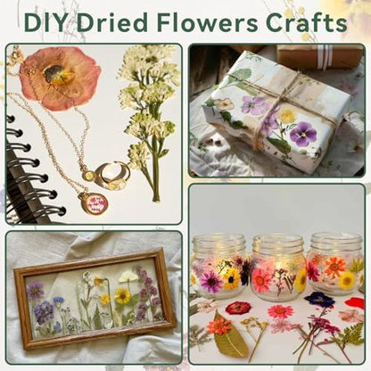 TTUGTTUG Large Flower Press Kit, 15.7" x 11.8" Wooden Pressed Flowers - Image 6