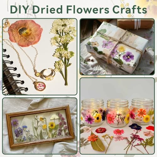 TTUGTTUG Wooden Flower Press Kit, 11" x 11" Large Pressed Flowers for Adult - Image 6
