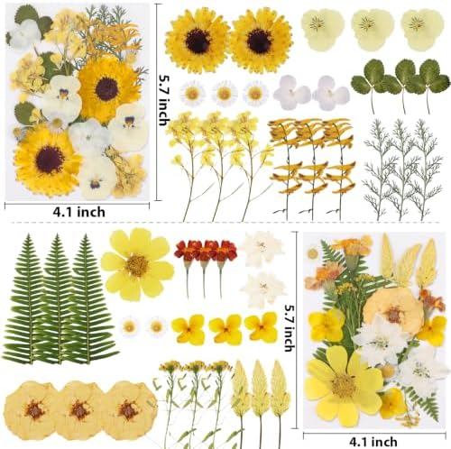 128 Pcs Fall Dried Pressed Flowers for Resin,Natural Real Dried Flowers - Image 4