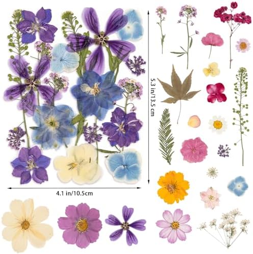 80PCS Spring Large Pressed Flowers Leaves , Real Nature Dry Flowers for Resin Craft, Larage Pressing Floral with Tweezers Set for DIY Jewelry Making Nail Card Scrapbook Art - Image 2