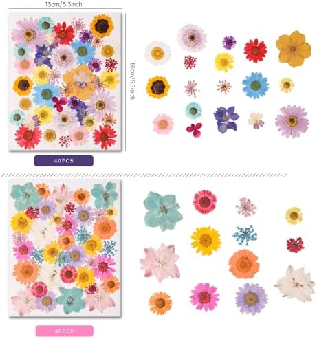 80PCS Multicolor Pressed Dried Flowers Dry Leaves - Image 2