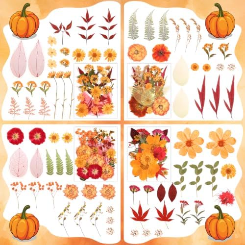 170 PCS Fall Dried Pressed Flowers with Tweezers, Real Nature Dried Flowers Orange Autumn Pressed Florals Set for Resin Scrapbooking Vase Candle Making Card Scrapbook Craft Floral Decors - Image 4