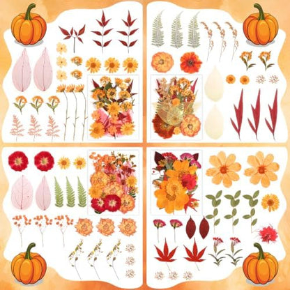 170 PCS Fall Dried Pressed Flowers with Tweezers, Real Nature Dried Flowers Orange Autumn Pressed Florals Set for Resin Scrapbooking Vase Candle Making Card Scrapbook Craft Floral Decors - Image 4