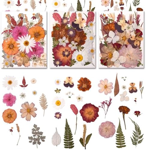 100 PCS Cream Color Pressed Dried Flowers & Leaves by Cokosing