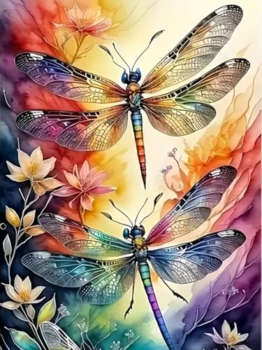 5DDIYART Dragonfly Paint by Numbers for Adults Beginner, Paint by Number Kits on Canvas, Paint by Easy Acrylic Oil Painting Home Wall Decor 12x16inch by Unknown
