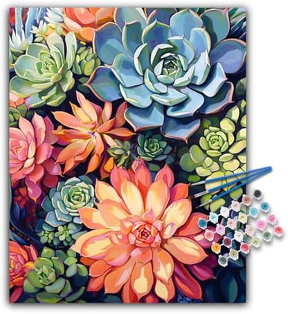 Paint by Numbers Kit for Adults, Succulents DIY Acrylic Canvas Painting Set by Offito