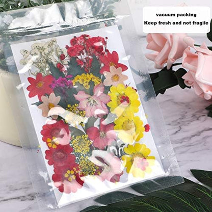 Augshy Dried Pressed Flowers, Natural Resin Flowers, Real Mixed Color Pressed Flowers, Colorful Dry Flowers for Resin Jewelry Nail Art Craft DIY - Image 4