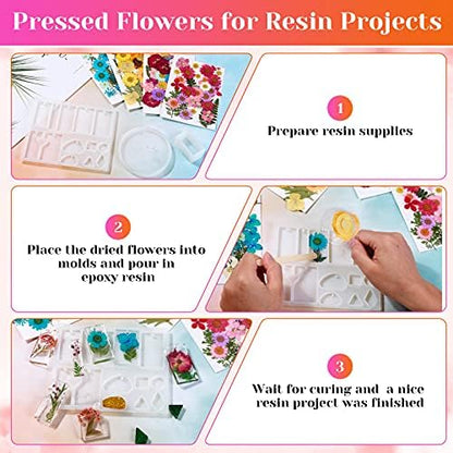 Real Dried Pressed Flowers for Resin, Natural Dry Flowers Leaves Bulk Herbs Kit for DIY Scrapbooking Stamping Supplies Epoxy Resin Jewelry Molds Candle Soap Making Nails Décor Art Crafts - Image 7