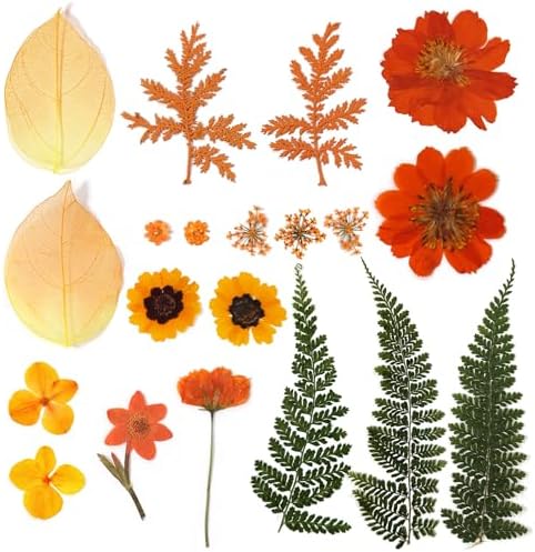 Dried Pressed Flowers Real Natural Petals Bulk Dried Leaves Plant for DIY Art Resin Candle Jewelry Making Bookmarks Scrapbooking Card Decorations Phone Case - Image 3