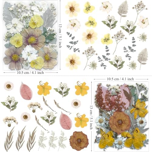 MIKIYA 90Pcs Dried Pressed Flowers for Resin Molds, Vintage White Bulk Real Natural Dry Floral for DIY Art Crafts, Epoxy Jewelry, Candle, Soap Making, Nails Decor, Phone Case - Image 6
