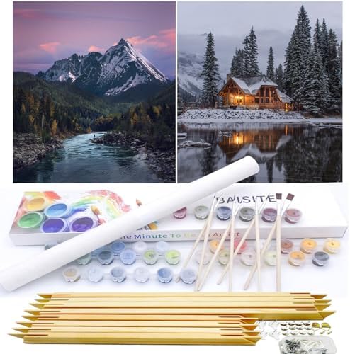 BAISITE Paint by Numbers Kit for Adults Beginners,12" Wx16 L 2 Pack Canvas for Painting Kits for Adults in Colorful Box-PBN219-220-DIY Frame by PaintbyNumbersKitsforAdults