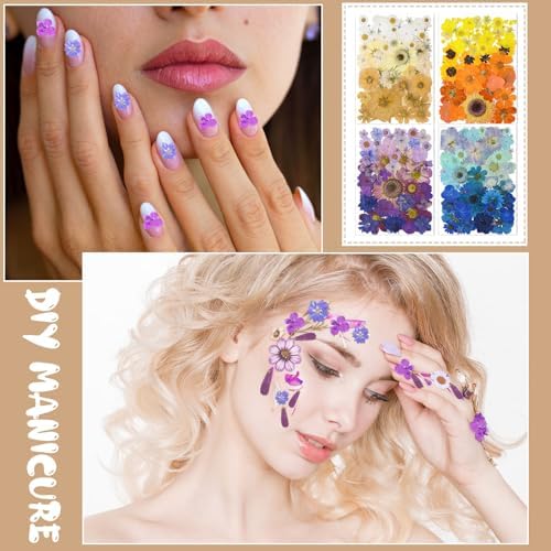 Nuanchu 200 Pcs Pressed Flowers Bulk Dried Flower for Craft Resin Mold Bookmark Scrapbooking Nail Cake White Orange Natural Pressed Dried Floral with Tweezer DIY Gift(Bright Color,Natural Style) - Image 5