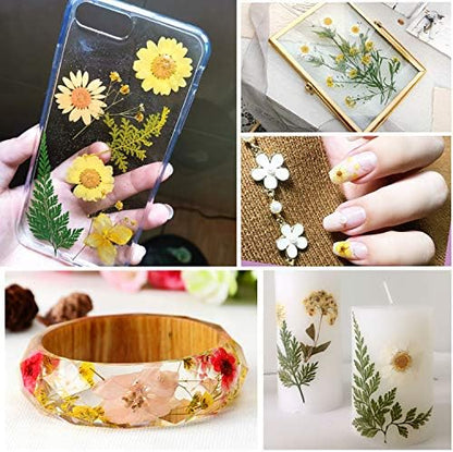 Augshy Dried Pressed Flowers - Real Natural Colorful Dry Flowers for Resin Jewelry Nail Art Craft DIY (Yellow) - Image 6