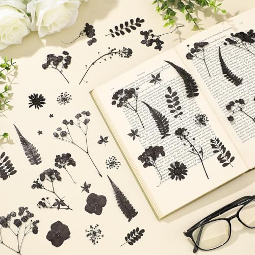 Fabbay 200 Pcs Dried Pressed Flowers Natural Leaves for Resin Nail, Black - Image 2