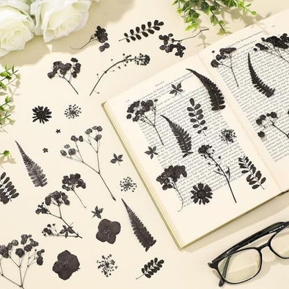 Fabbay 200 Pcs Dried Pressed Flowers Natural Leaves for Resin Nail, Black - Image 2