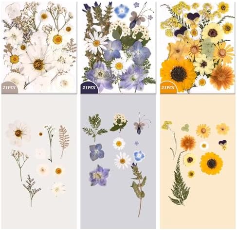 9 Packs of 200 Pressed Dried Flowers and Leaves for DIY Crafts - Image 4