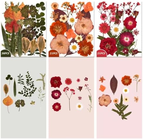 9 Packs of 200 Pressed Dried Flowers and Leaves for DIY Crafts - Image 6