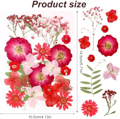 Dried Pressed Flowers Real Pressed Flowers Natural Dry Leaves Bulk Mixed Colorful Herbs Kit with Tweezers for Scrapbooking DIY Candle Jewelry Crafts Making Nails (Red) - Image 2