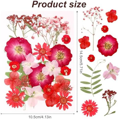 Dried Pressed Flowers Real Pressed Flowers Natural Dry Leaves Bulk Mixed Colorful Herbs Kit with Tweezers for Scrapbooking DIY Candle Jewelry Crafts Making Nails (Red) - Image 2