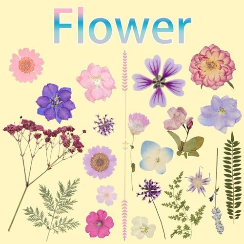50Pcs Dried Pressed Flowers Resin Mould Real Pressed Flowers Natural Dry Leaves Bulk Mixed Colorful Daisy Herbs Kit with Tweezers for Scrapbooking DIY Candle Jewelry Crafts Making Nails(Purple) - Image 3