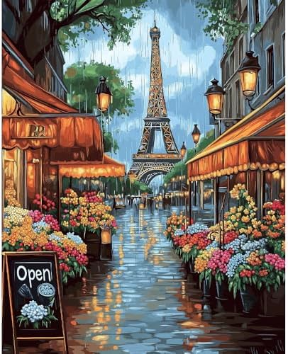 Natuyalo Paint by Numbers for Adults Beginner, Eiffel Tower Acrylic Painting by Number Kits Paris Cityscape DIY Art Craft Kits Suitable for Home Wall Decoration Frameless (16x20 Inch) by Natuyalo