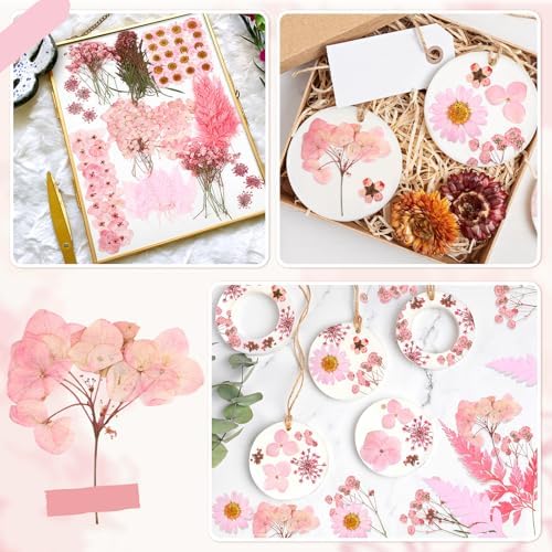 Fabbay 200 Pcs Dried Pressed Flowers Natural Leaves for Resin Nail, Pink - Image 4