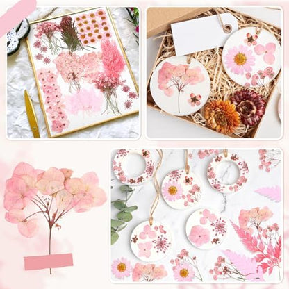 Fabbay 200 Pcs Dried Pressed Flowers Natural Leaves for Resin Nail, Pink - Image 4