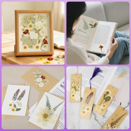 NESCCI 247 Pcs Dried Flowers for Crafts,Real Natural Dried Pressed Flowers - Image 6