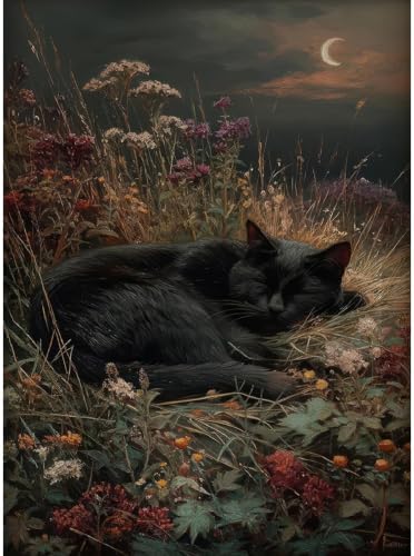 Gothic Cat Paint by Numbers Kit for Adults Framed Canvas, Frameworkless by FairylandJinWenn