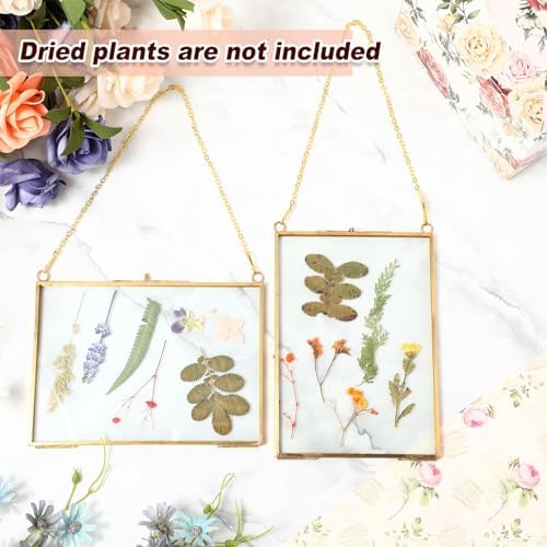 Barydat 12 Pcs Pressed Flower Frame Floating Glass Frames, 5"x7", Gold - Image 5