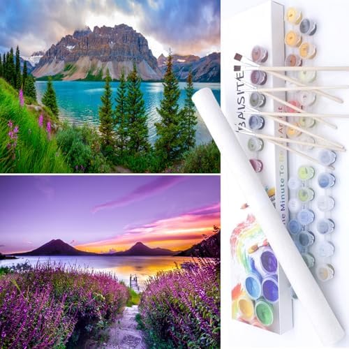 BAISITE Paint by Numbers Kit for Adults Beginners,12" Wx16 L 2 Pack Canvas for Painting Kits for Adults in Colorful Box-PBN271-272 by PaintbyNumbersKitsforAdults