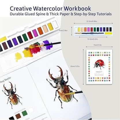 CraftyManor Watercolor Workbook Creative Insect Water color Paint Book Set with Paints & Brush, 12 Patterns of Original DIY Designs, Beginner-Friendly Adult Coloring Books (Insect) - Image 2