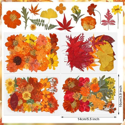 100 PCS Real Fall Dried Pressed Flowers Leaves Fall Natural Dried Flowers Leaves Kit Autumn Pressed Dry Flower Leaf Set for Scrapbooking DIY Art Craft Resin Jewelry Molds Candle Soap Making Nail Decor - Image 2