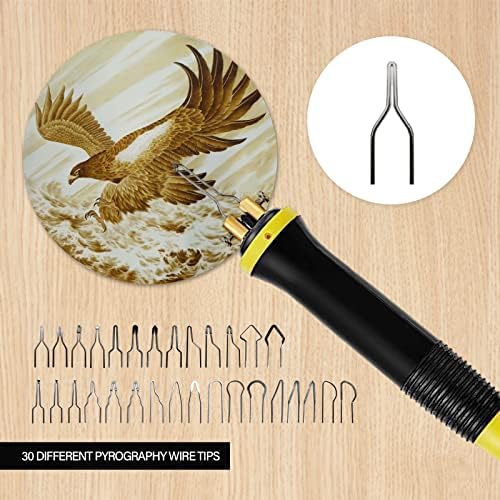 FIRElood Wood Burning Tool,Wood Burning kit Pen 25~750℃,Professional Wood Burning kit,with Digital Thermometer Temperature Adjustable Temperature,1 Wood Burning pens, 30 Wood Burning Pen Tips - Image 4