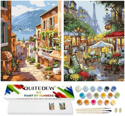QUITEDEW 2 Pack Adult Paint by Numbers Kit in Colorful Box,11.8x15.7Inch by QUITEDEW