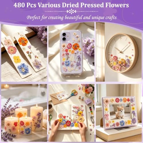 Evatage 480 Pcs Real Dried Pressed Flowers for Resin Crafts - Image 7