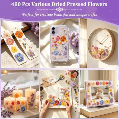 Evatage 480 Pcs Real Dried Pressed Flowers for Resin Crafts - Image 7