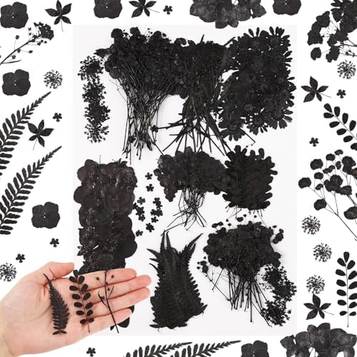 Fabbay 200 Pcs Dried Pressed Flowers Natural Leaves for Resin Nail, Black by Fabbay