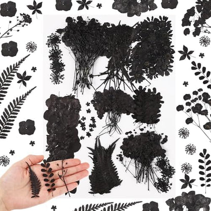 Fabbay 200 Pcs Dried Pressed Flowers Natural Leaves for Resin Nail, Black by Fabbay