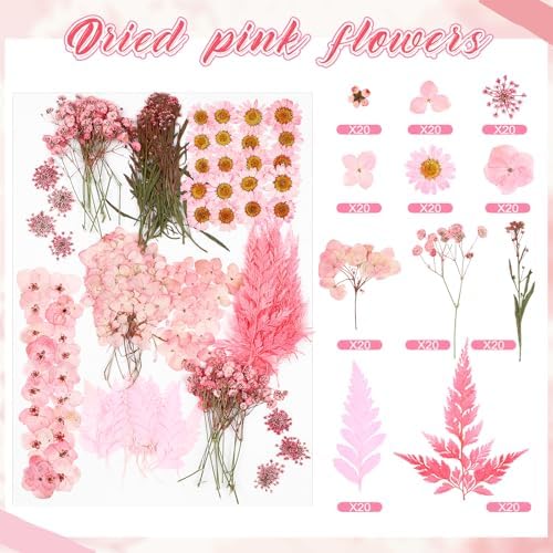 Fabbay 200 Pcs Dried Pressed Flowers Natural Leaves for Resin Nail, Pink - Image 3