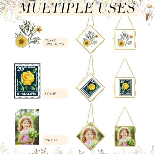 DoubleFill 12 Pcs Pressed Flower Frame Double Glass Gold Metal,4 x 4 Inch - Image 5