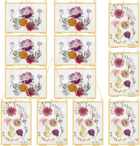Barydat 12 Pcs Pressed Flower Frame Floating Glass Frames, 5"x7", Gold by home