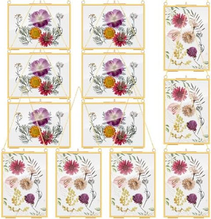 Barydat 12 Pcs Pressed Flower Frame Floating Glass Frames, 5"x7", Gold by home