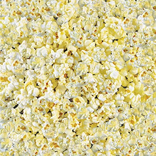Paper Wishes – 12x12 Bulk Paper Collection | Unique and Fun Papers for Scrapbooking, Cardmaking, Gifts and All of Your DIY Crafting, Art and Creative Projects - Inspiration at Your Fingertips by PaperWishes