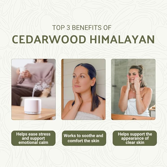 Nature Packaged Cedarwood Himalayan Essential Oil - 100% Pure Steam Distilled Natural Cedarwood Himalayan Oil (Aceite de Cedro) from Natural Biotech NBT India for Aromatherapy & DIY Projects - 22lbs