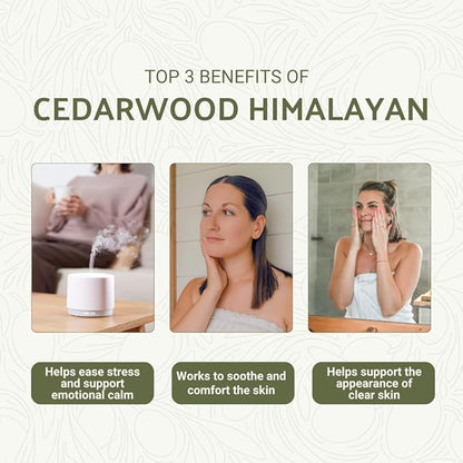 Nature Packaged Cedarwood Himalayan Essential Oil - 100% Pure Steam Distilled Natural Cedarwood Himalayan Oil (Aceite de Cedro) from Natural Biotech NBT India for Aromatherapy & DIY Projects - 22lbs