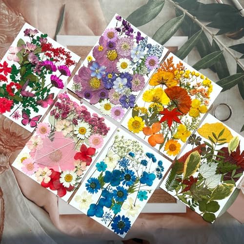 MIKIYA 150Pcs Dried Pressed Flowers for Resin, Assorted Real Natural Bulk Dry Floral Leaves for DIY Art Crafts, Epoxy Molds, Jewelry, Soap, Candle Making, Nails Decors - Image 3