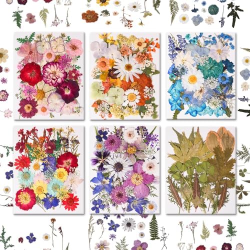 184 PCS Real Pressed Dried Flowers and Leaves for Resin by Cokosing