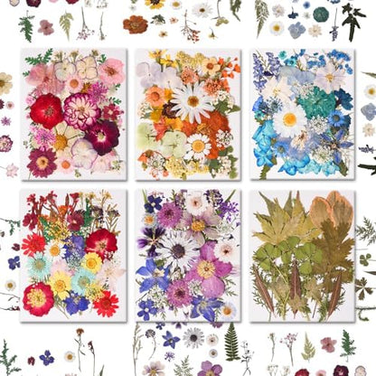 184 PCS Real Pressed Dried Flowers and Leaves for Resin by Cokosing